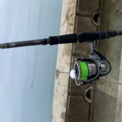 mcにて太刀魚狙い