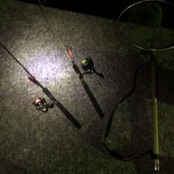 用事ついでのエギング