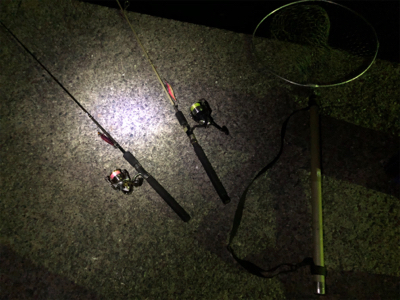 用事ついでのエギング