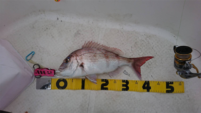 まあまあの釣果