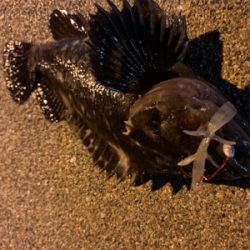 こんな場所でまさかの！？