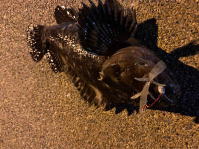 こんな場所でまさかの！？