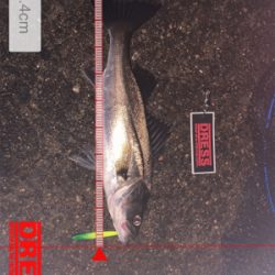 雨の止み間に…