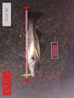 雨の止み間に…