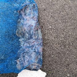 オクトパッシング前半後半