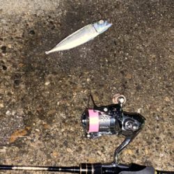 ガーグリップを忘れてしまった