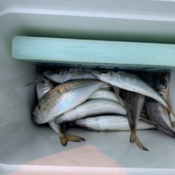 あっちも駄目で、こっちも駄目で…