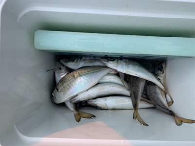 あっちも駄目で、こっちも駄目で…