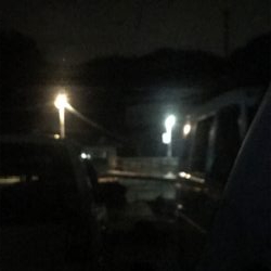 暇つぶしに近所で釣り