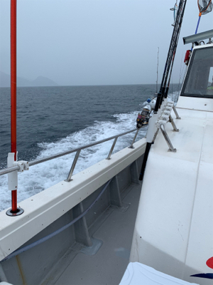 中深海ジギング