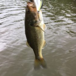 激濁りのフィールド