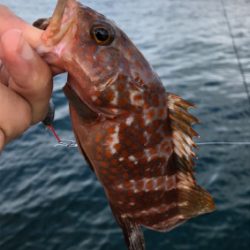 シーズンラストに来ました!