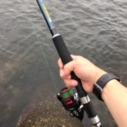 タコ調査7。水潮でもなんとかね!