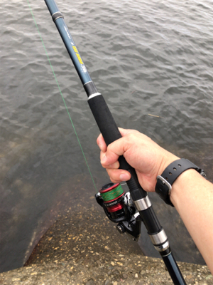 タコ調査7。水潮でもなんとかね!