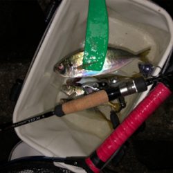 東からの爆風に耐えて