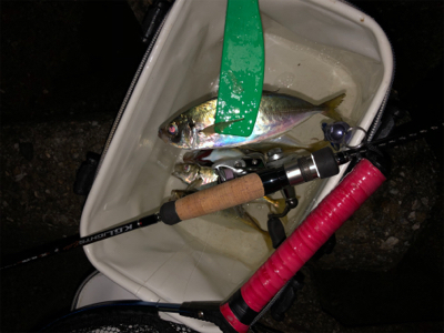 東からの爆風に耐えて