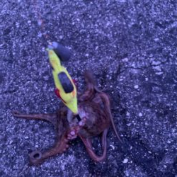 レディースデイ