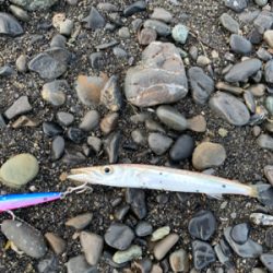 サイズが落ちてきたチニング