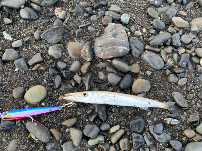 サイズが落ちてきたチニング