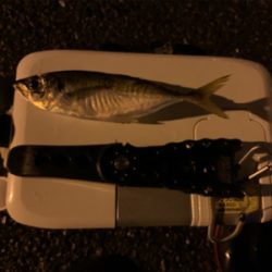 意外とクオリティが高い場所?!