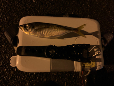 意外とクオリティが高い場所?!