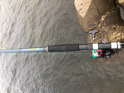 タコ調査9! まだまだよく釣れます!