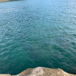 厳しい中なんとか小さい2杯