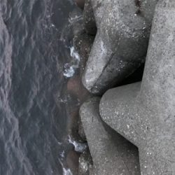 久しぶりに夜釣り