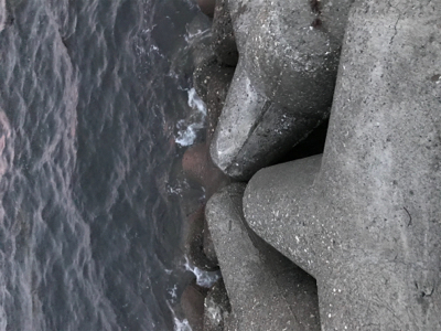 久しぶりに夜釣り