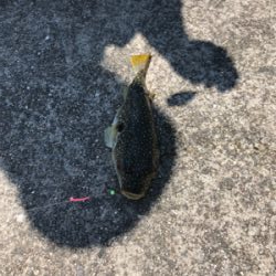 キスを求めて吉良サンライズパーク‼️