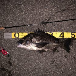 ナイトチニング