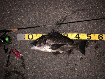 ナイトチニング