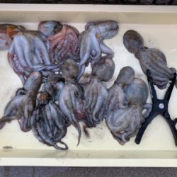 昨日よりマシかな?