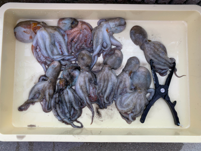 昨日よりマシかな?