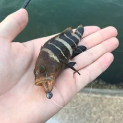 二ヶ月ぶりの釣り!