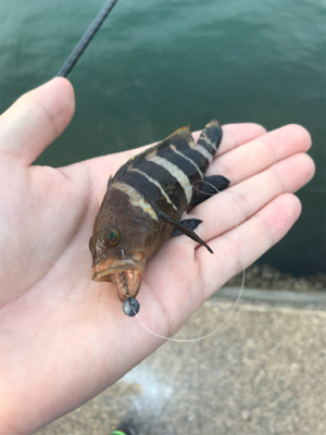 二ヶ月ぶりの釣り!