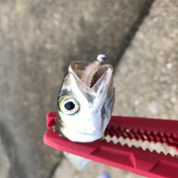 サバゲー楽しいですよ!