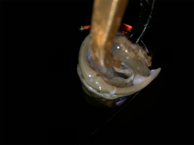 増水パターン!?