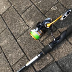 ツバス狙いで…