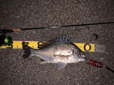 夕マズメチニング