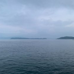 アジでノマセ釣り