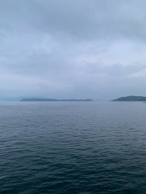 アジでノマセ釣り