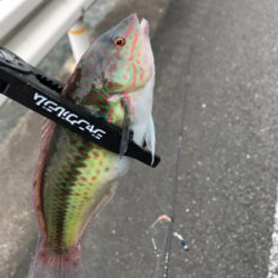 キスを求めて①