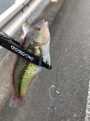 キスを求めて①