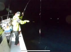 舞鶴沖でイカメタル釣行