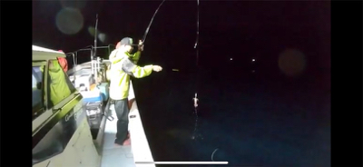 舞鶴沖でイカメタル釣行