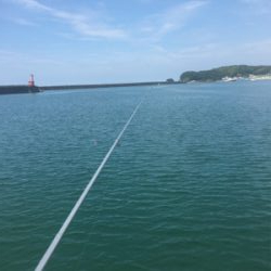 GO TO フィッシング!