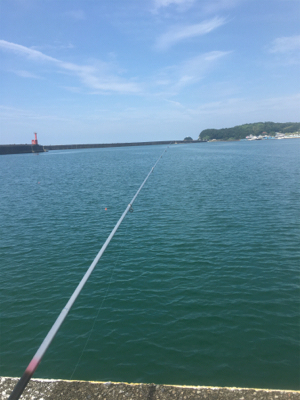 GO TO フィッシング!