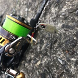 ショアジギング  ＆　ライトゲーム