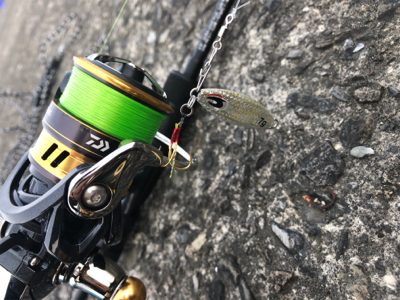 ショアジギング  ＆　ライトゲーム